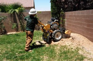 P & H Tree Service And Landscaping LLC provides tree pruning in Wenatchee, WA Tree Pruning Service