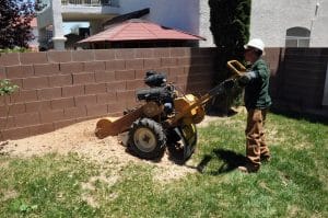 P & H Tree Service And Landscaping LLC provides tree pruning in Wenatchee, WA Tree Pruning